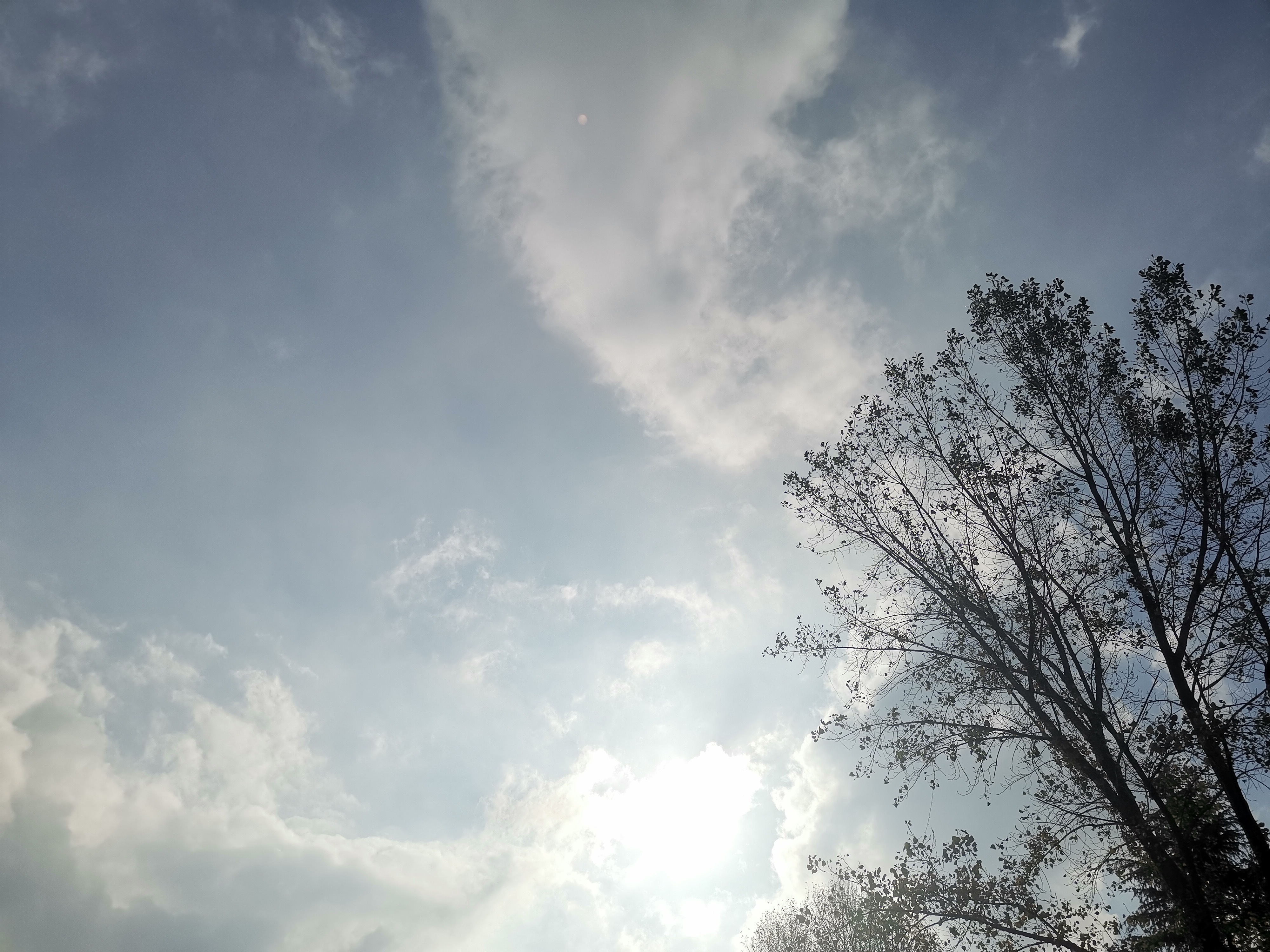 随手拍今天天气真好 ​​​