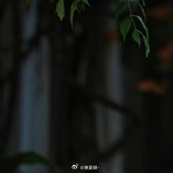 种植 0000凌霄花种植养护方法  1．选苗：选择枝干粗壮、根系完整、无病虫害的