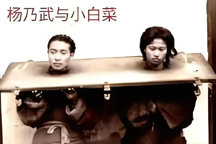 @寻找时代笔杆子在浙江民间，杨白案有另外一个版本。 
浙江上虞县毕秀姑者，乃葛品