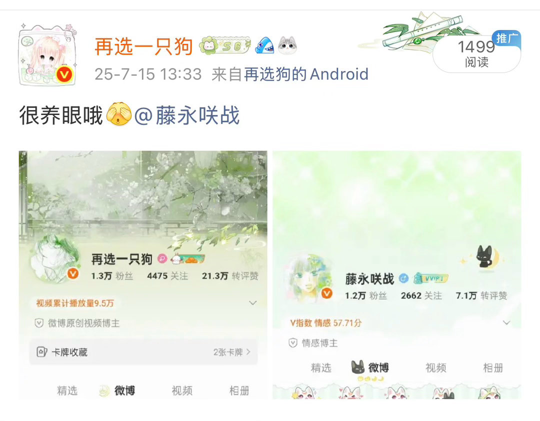 我去 去年今日我也是刚换上绿色主页 
