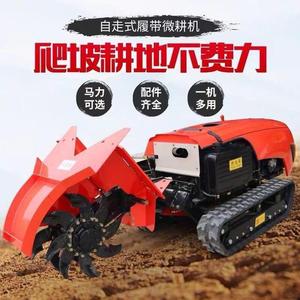 莱州的未来