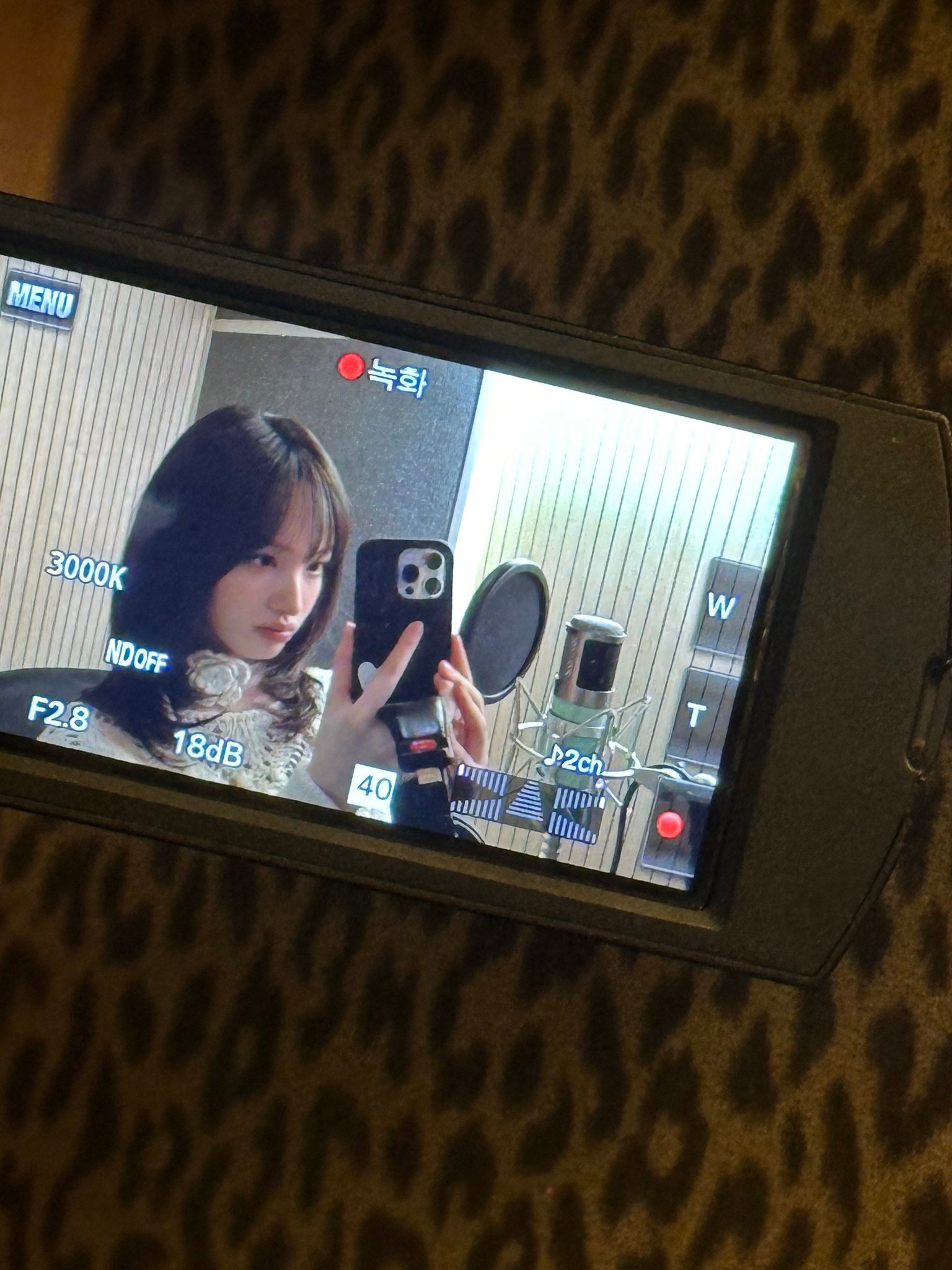 251114 IVE Liz金志垣 