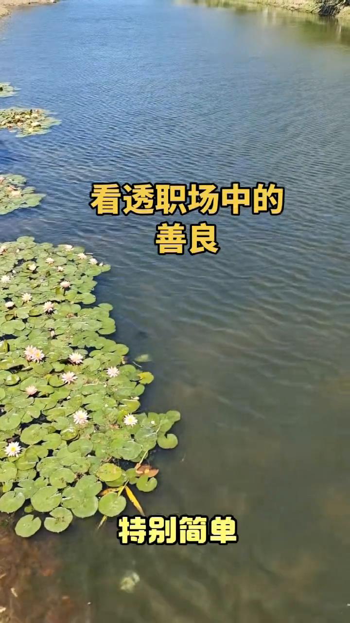 看透职场中的善良。
你知道什么样的人是善良的人吗？我看到一句话特别简单，但是直击