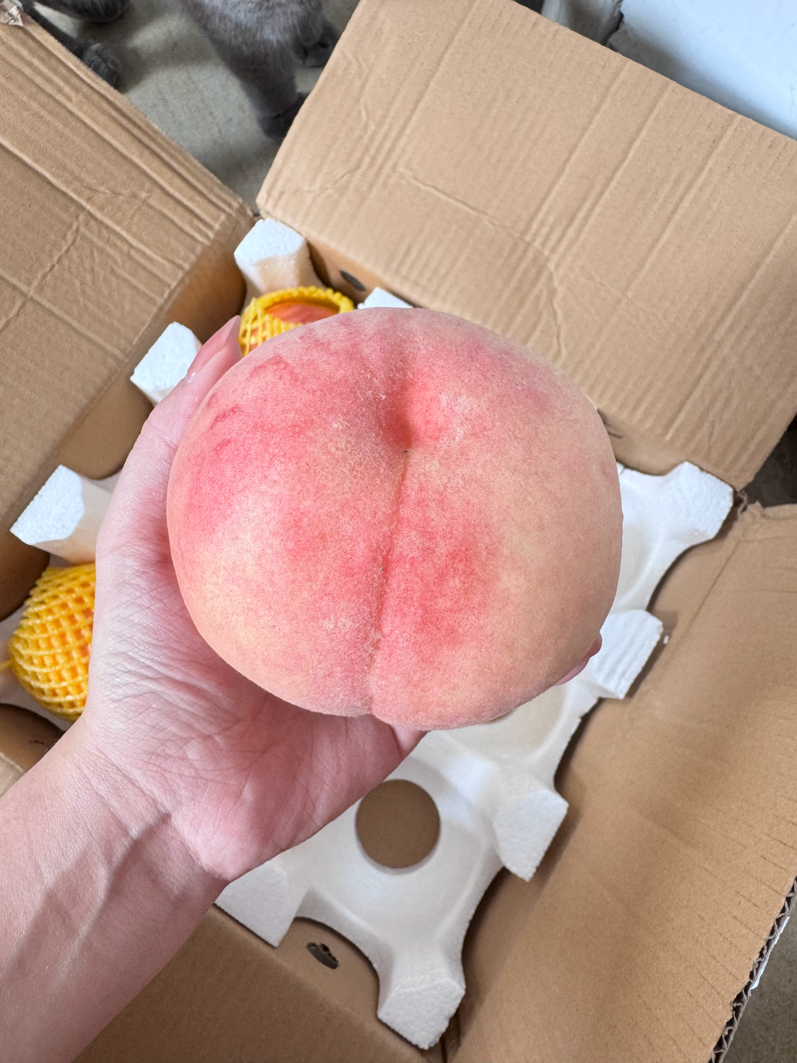 这个桃好吃！脆桃！清甜美味😋 