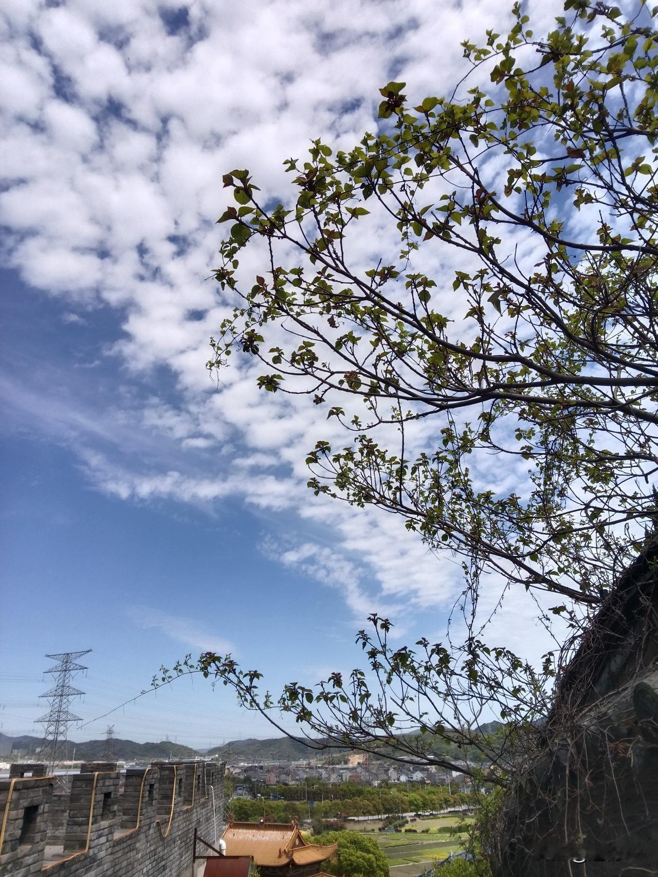 看来问题确实很大。这件事也给那些躺平或者准备躺平的人敲了个警钟。

本山人曾发文