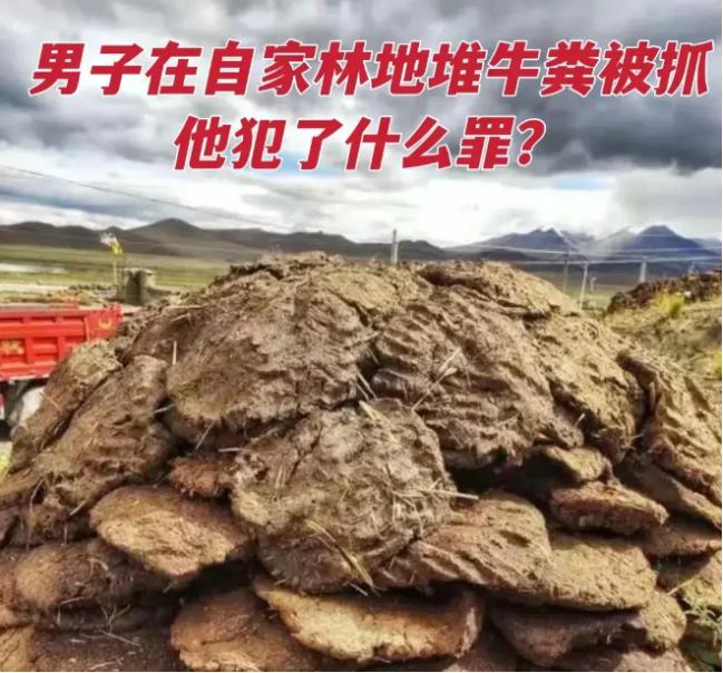 2020年的内蒙古通辽，一男子在牛肉厂工作时，发现厂内的牛粪成山。 心生一计——