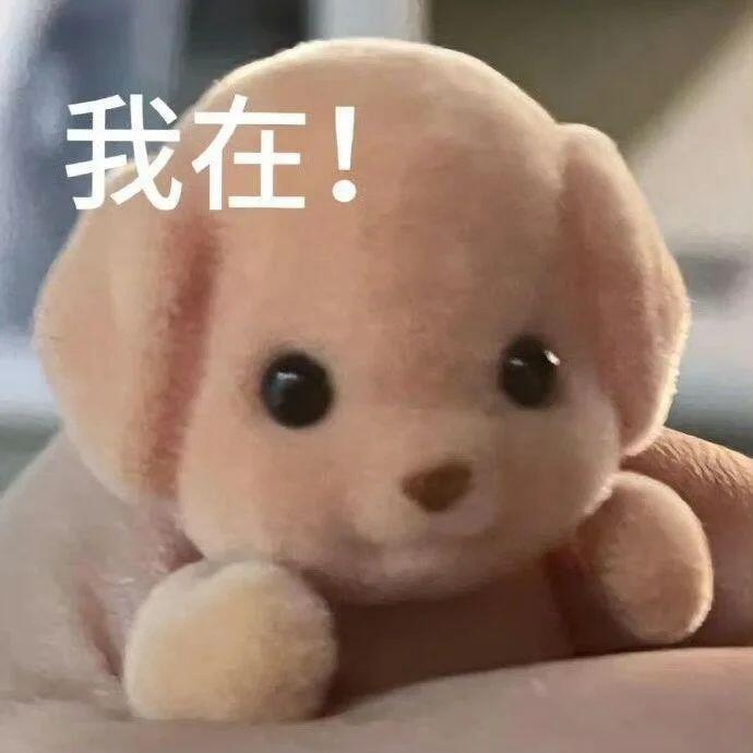 森贝儿表情包我回来了哦，想不想我不想的话吃我小巴掌😝想的话那我就lov u🤗