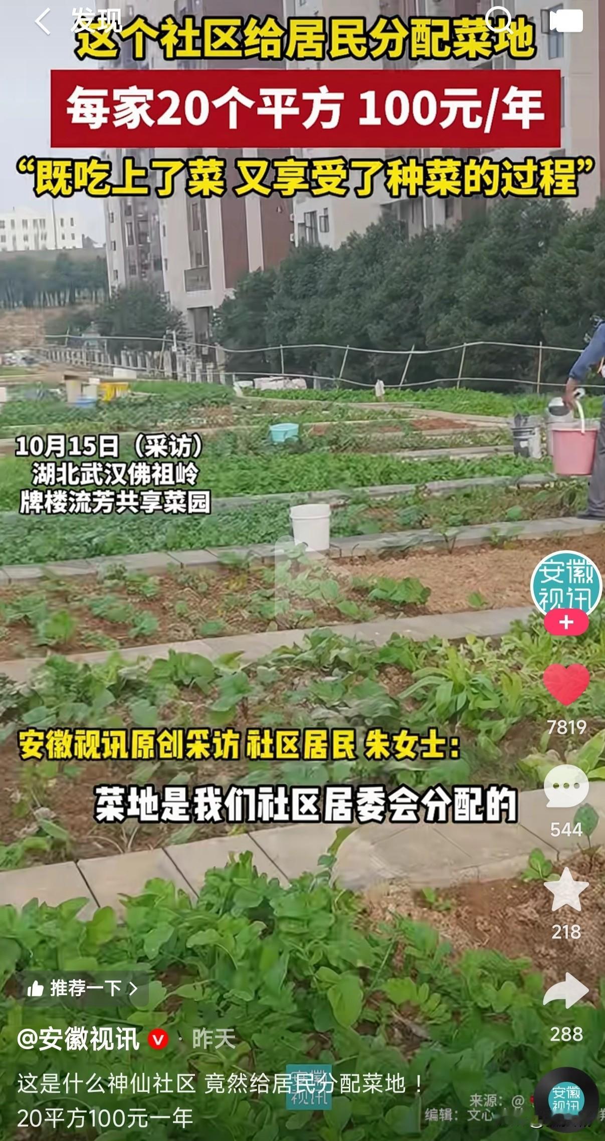 湖北武汉一社区给居民分配菜地，每家20个平方100元1年，既吃上了纯天然蔬菜，又