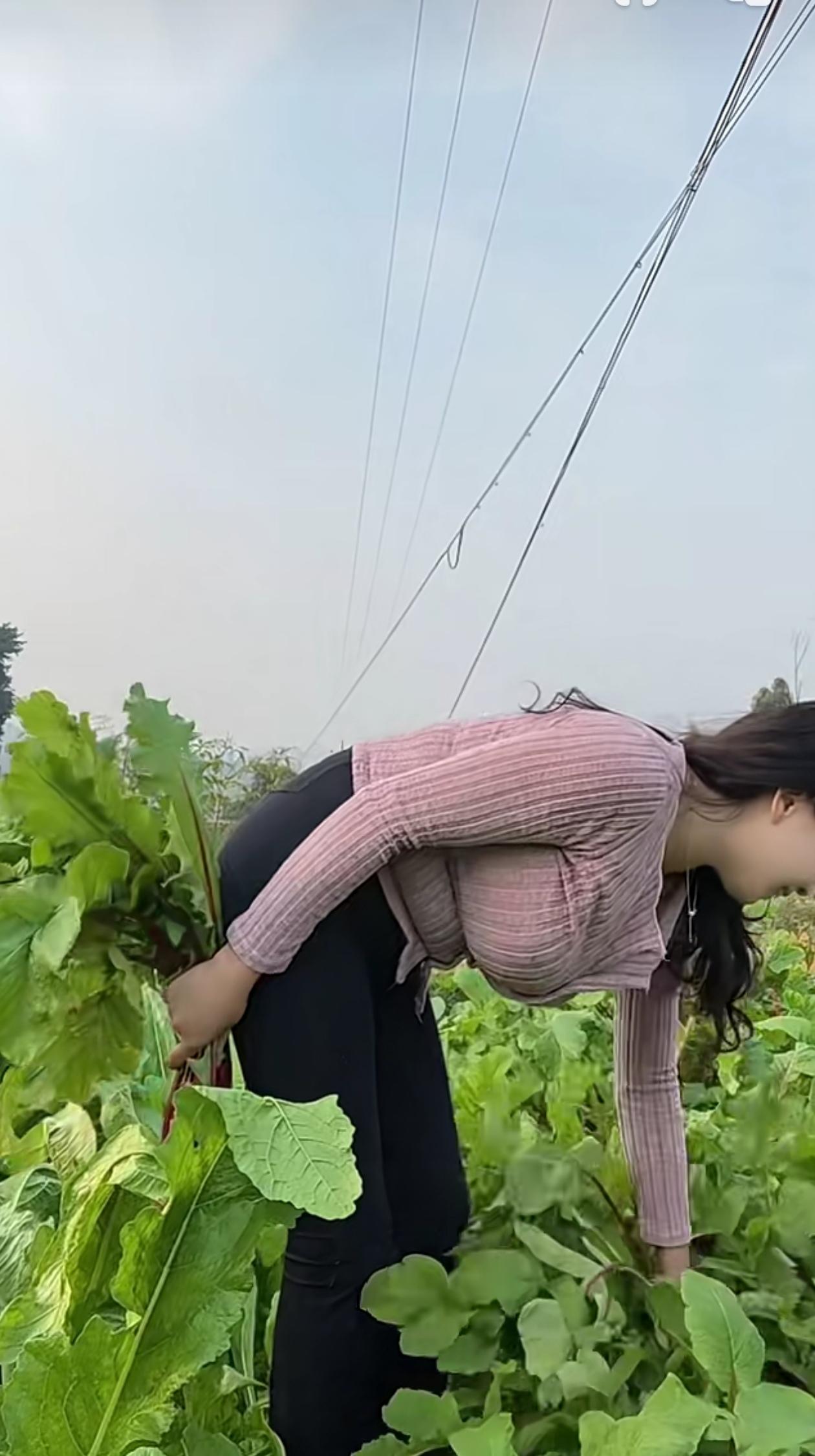想拍就拍吧！要不然老了再拍都没有人看了
