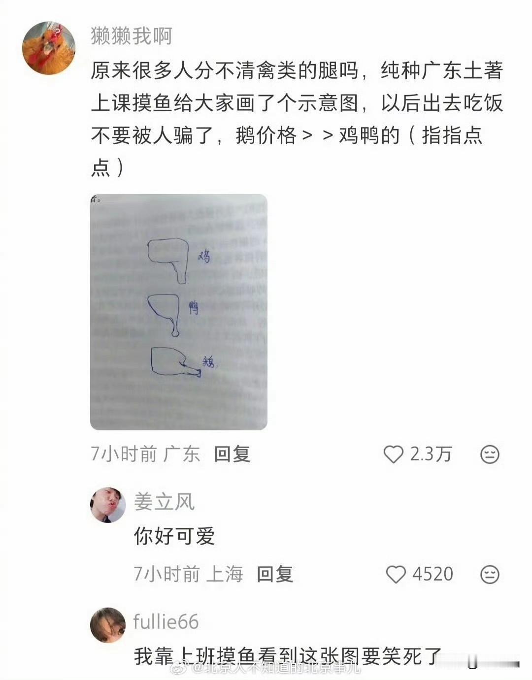 很多人傻傻分不清楚禽类的腿，网民们立马普及鸡、鸭、鹅的腿都长启动样。

【人大食