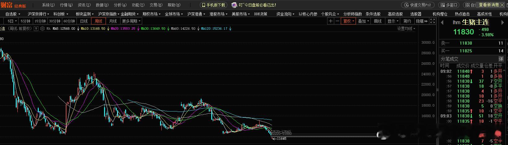 黄金暴涨，猪肉暴跌，大家不吃肉了吗？生猪主力合约从今年最高点15150跌至目前1