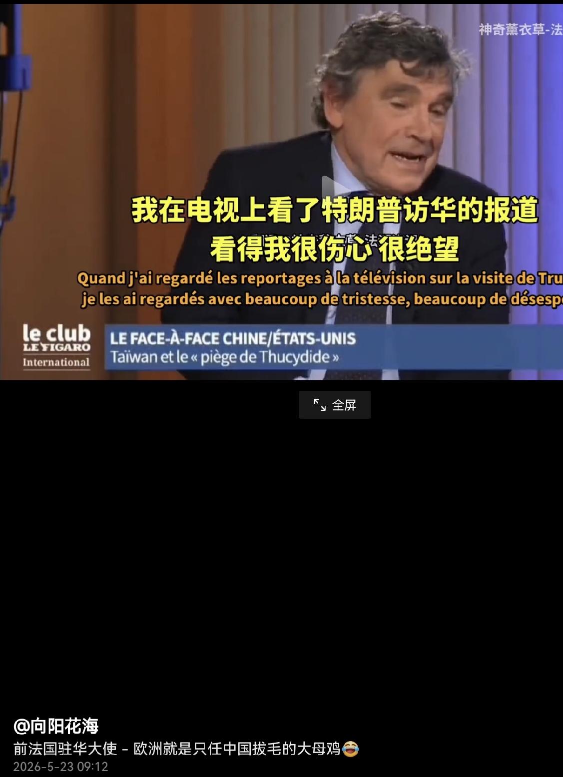 前法驻华大使在接受采访时说，老特访华看得我伤心绝望 欧洲已彻底缺位，欧洲就是一只