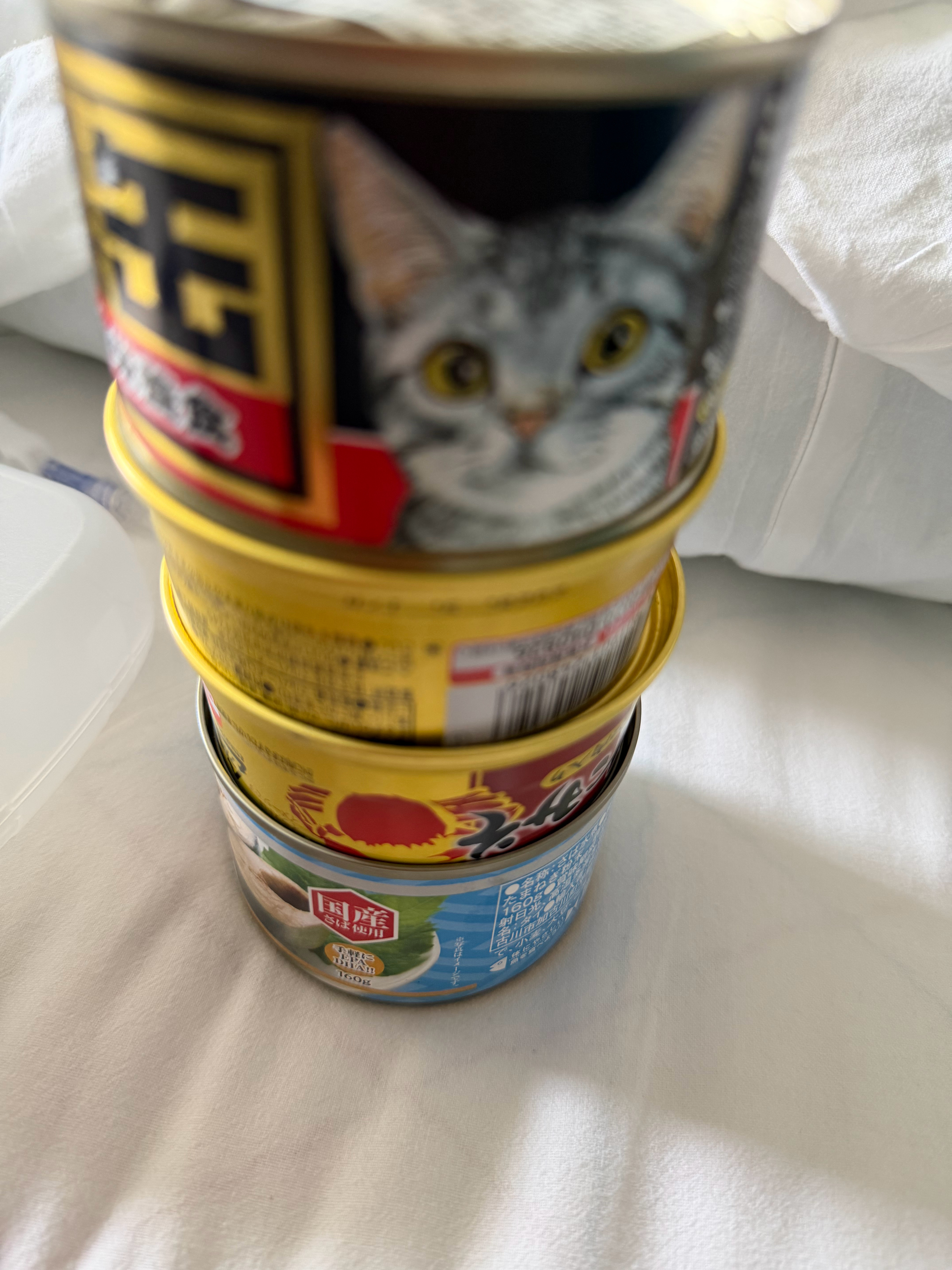 闺蜜说医院的饭太寡淡了，给我带点罐头。青花鱼罐头两个螃蟹罐头哎？怎么还有个猫罐头