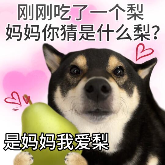 表情包|爱妈妈 每天每天♥️