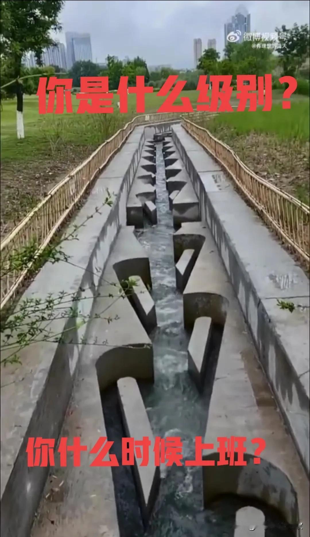 理论上讲，上班越晚的人级别越高？
小商贩，凌晨一两点上班
清洁工，凌晨三四点上班