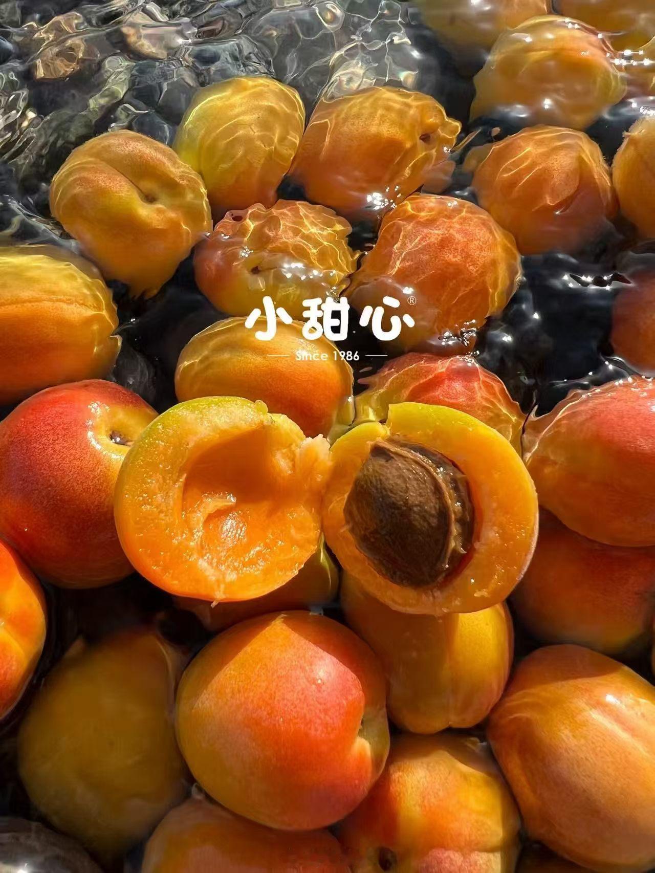 相当好吃的杏！新疆空运吊干杏！ 特别甜，浓郁杏味🍃 