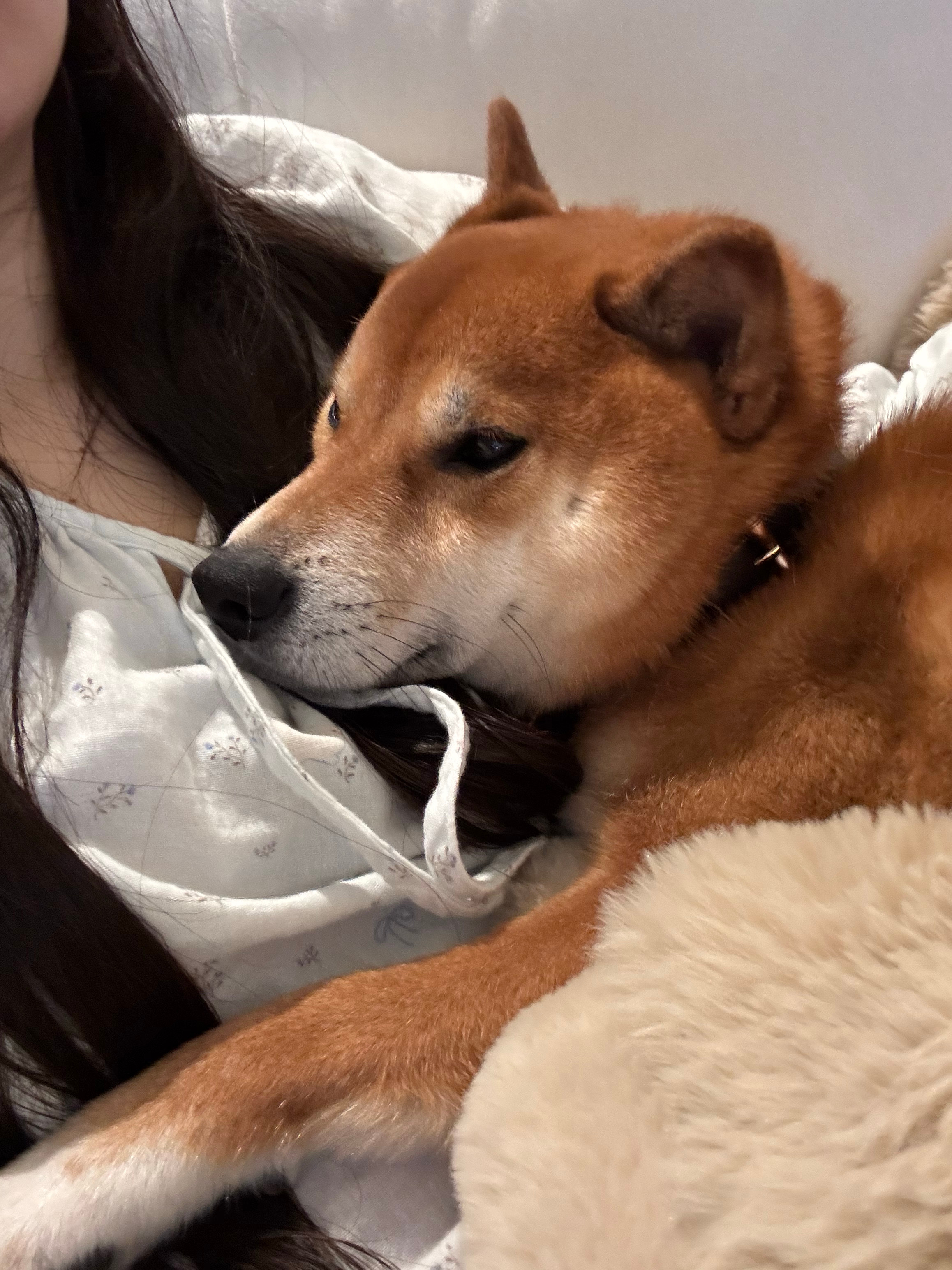 有些博主真的很神经 我点了回关以后 过段时间给我取关 取关就算了 不会移粉吗 （