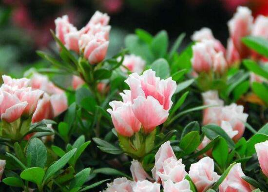 下周潜力板块及个股探讨！
本周末，国内消息面依旧偏暖，外围目前也没有重大利空出现