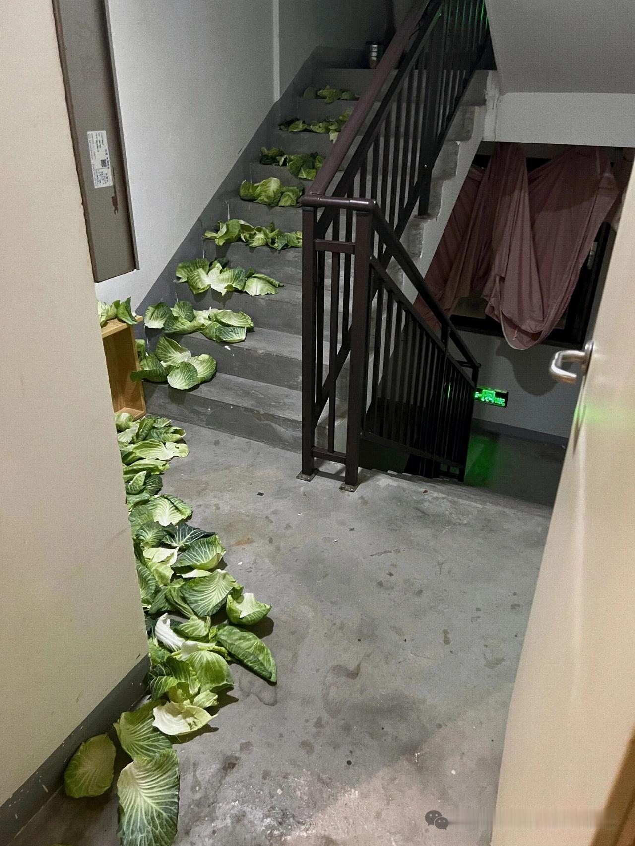 不懂就问，邻居这是在干嘛？