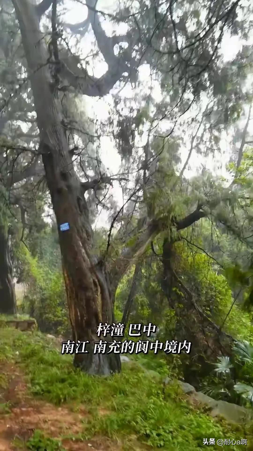 金牛古道，想起来前阵子看到的传说，好像是说当年秦王为了蜀国的美女，愿意用秦国的宝