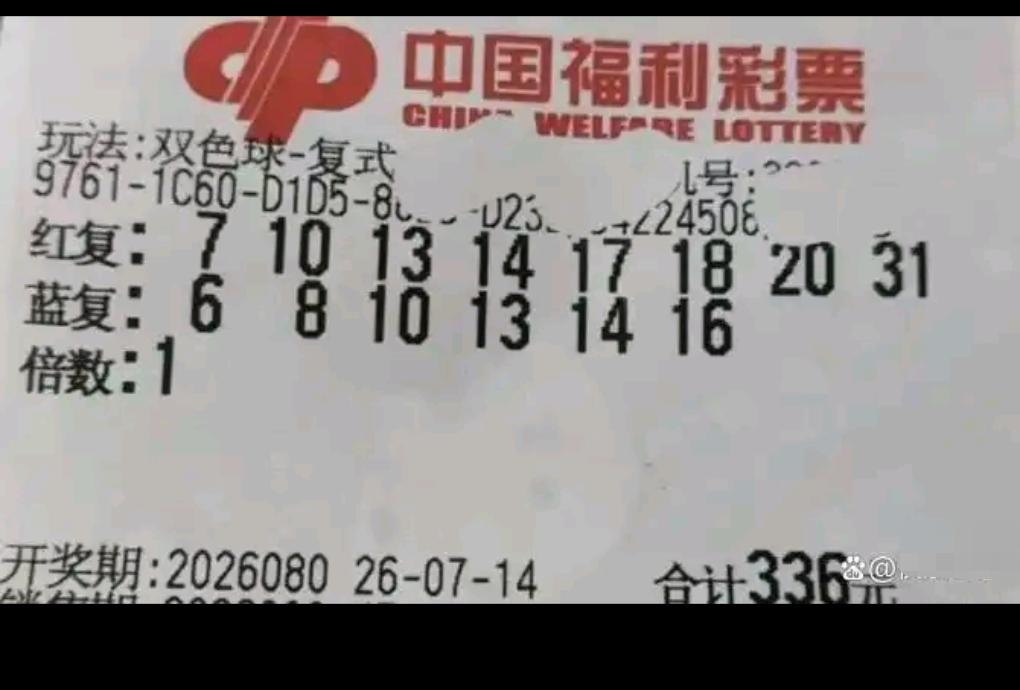 咖啡小姐姐的购彩打法稳健轻量化，每期固定投入336元，金额可控、从不盲目加码，这