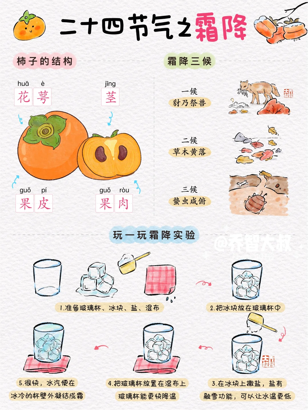 给孩子们的霜降节气认知图鉴