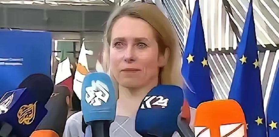 就在最近，欧盟正式官宣了一个让全球科研界震动的决定：从2026年起，将中国科研机