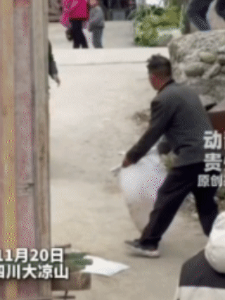 我啥都没说 
