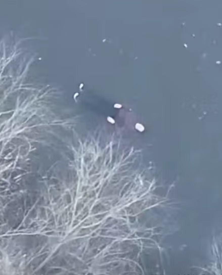 为辅警点赞！近日，宁波某地有人报警称：“河中发现一具浮尸，人好像已经死了！”派出