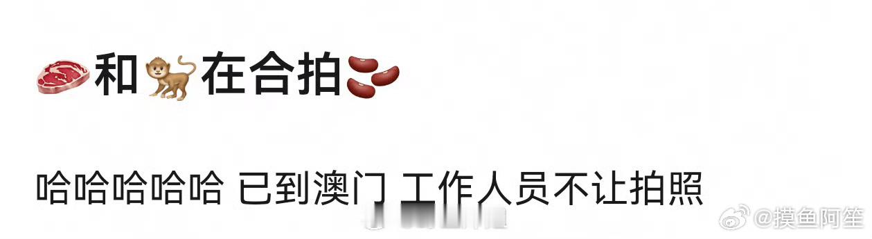 赵露思和王鹤棣还会有合拍🫘 