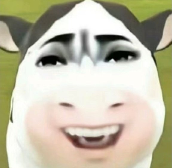 。。。 