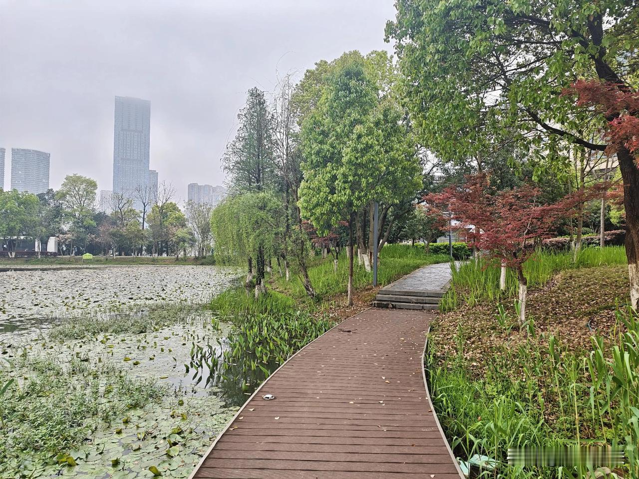 池湖出自宋代储泳笔下，池水通湖活，是诗人的绝佳注脚，池湖是诗人的心灵乐园。水往低