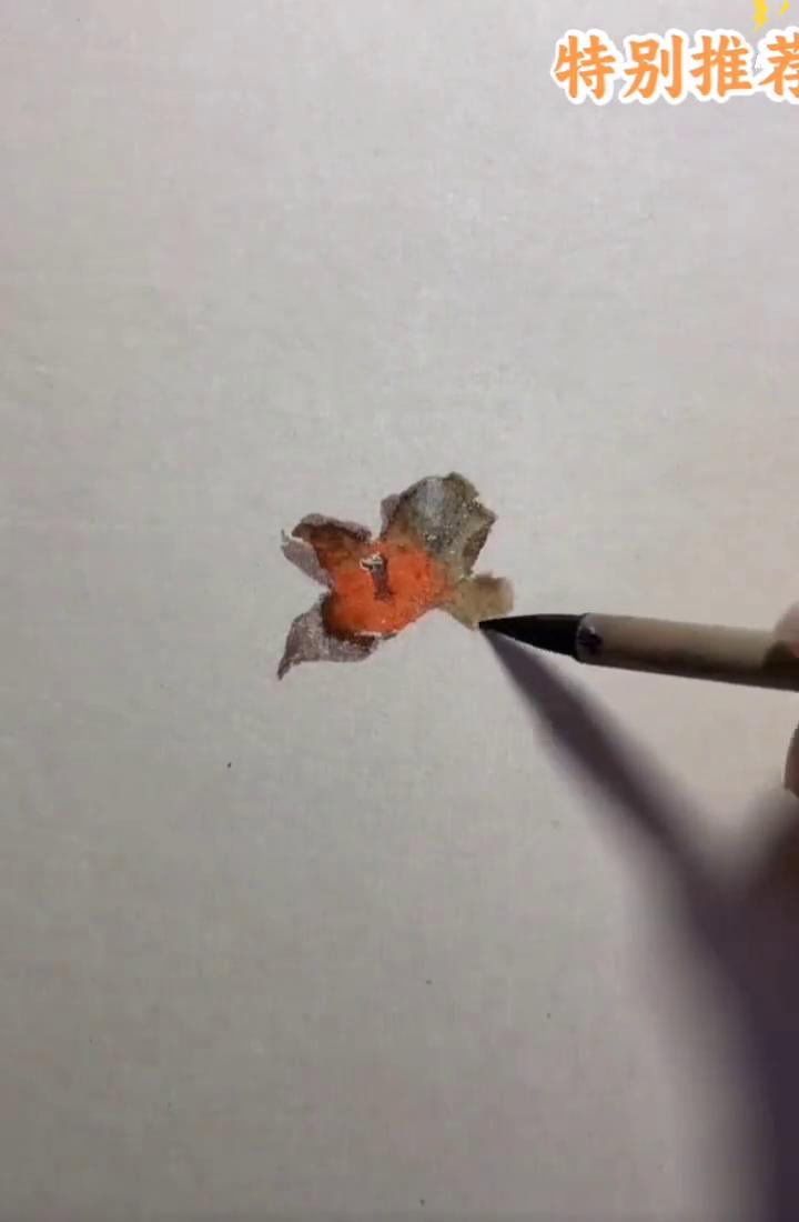 特别推荐：没骨柿子绘画示范。