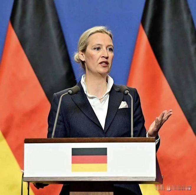 🇩🇪43.8%！德国政坛剧烈震荡🔥魏德尔的务实对华立场引热议✨
 
9月6