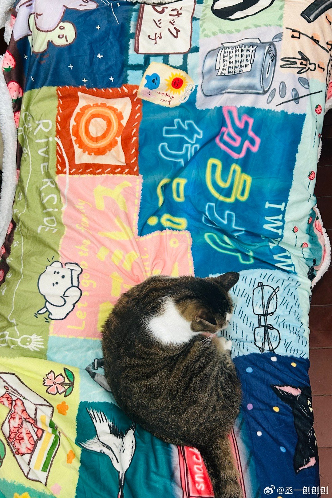 还有来自的天才毯子🐱：我的了 