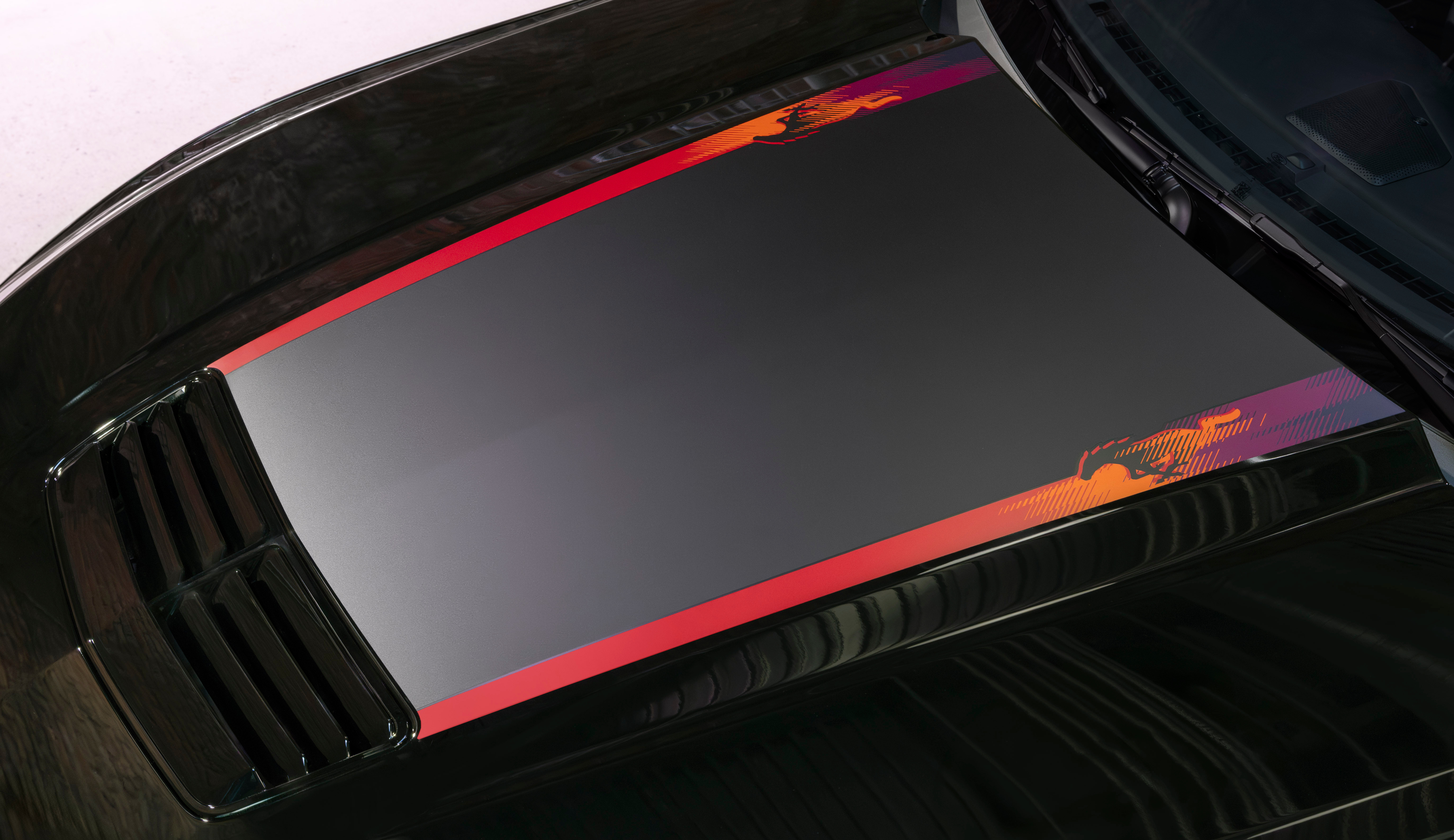 Ford Mustang EcoBoost TLD Signature Edit