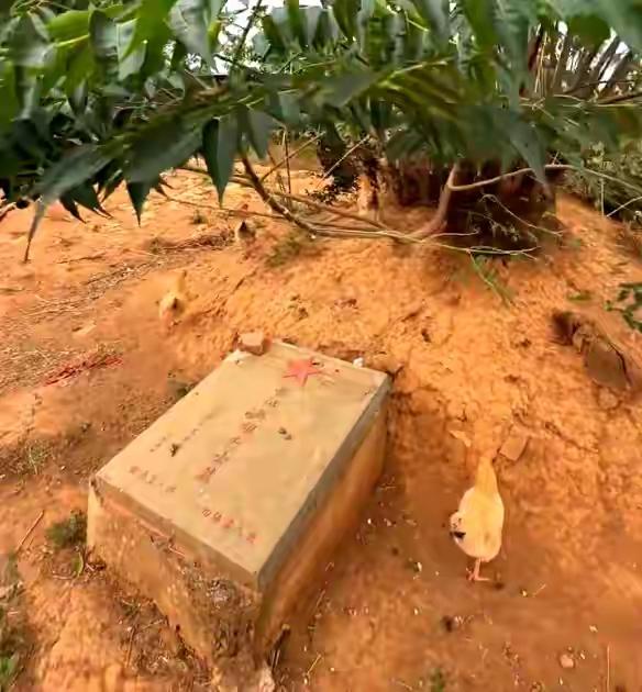 10月29日，一则令人震惊的消息在网络上迅速发酵：湖南永州市道县一座庄严肃穆的长