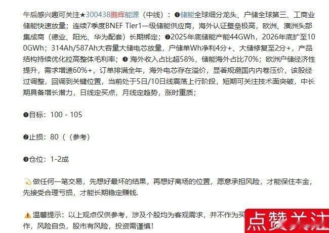 中登鹏辉能源300438📈今天走的很稳 