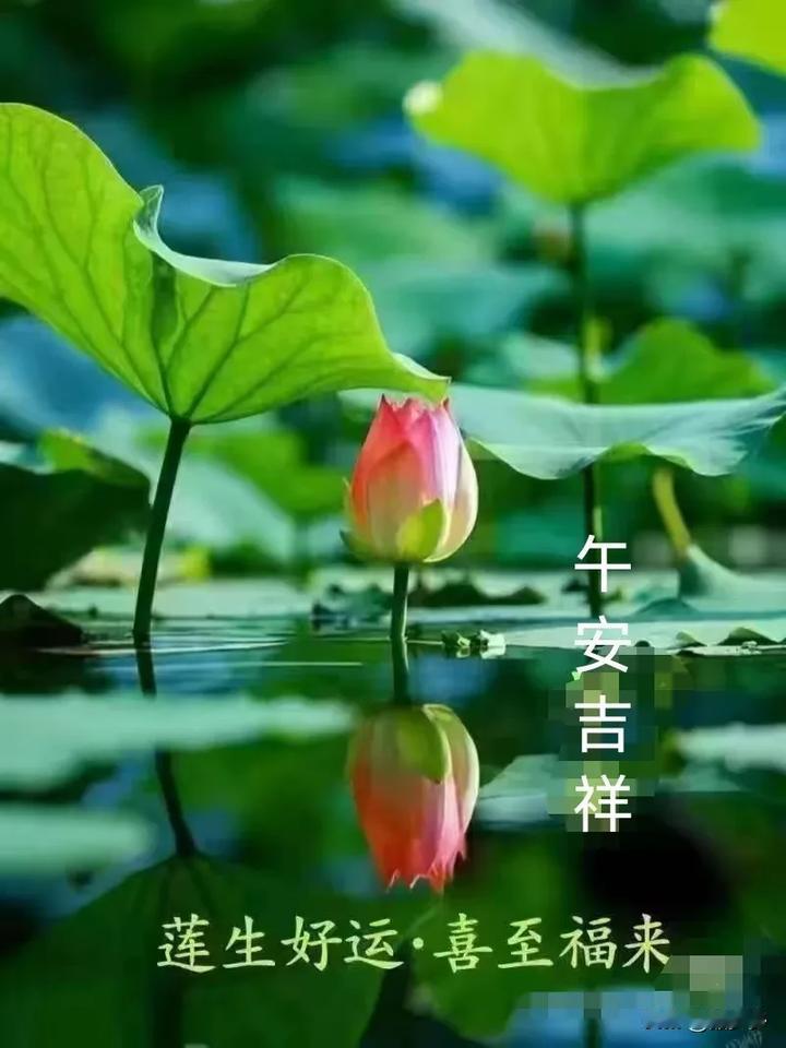 绿树成荫蝉儿闹
微风拂面暑气消
冷饮在手心欢畅
幸福时光乐逍遥
[微风][微风]