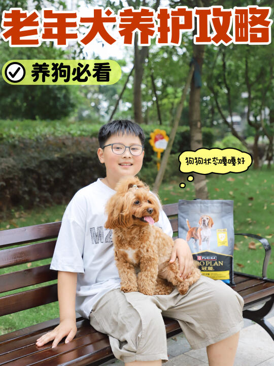 老年犬粮挑选指南~铲屎官多年经验大曝光