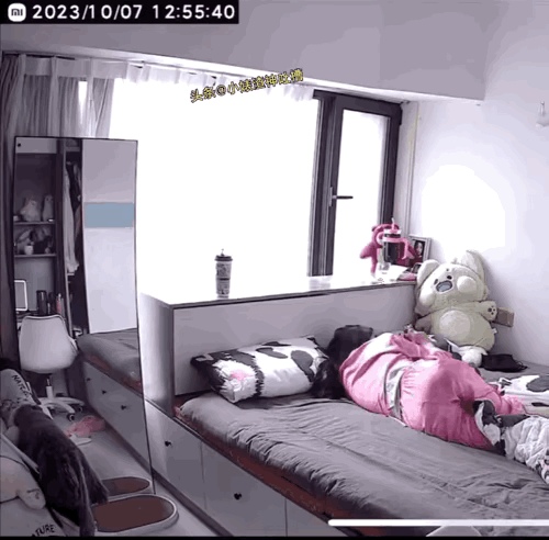 此女子身手敏捷，一个劈叉救了一条猫命猫咪救险 猫咪救孩子 高架桥墩救猫 猫咪救孩