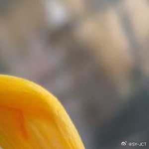 无论有多困难，都坚强地抬头挺胸，人生是一场醒悟，不要昨天，不要明天，只要今天。活