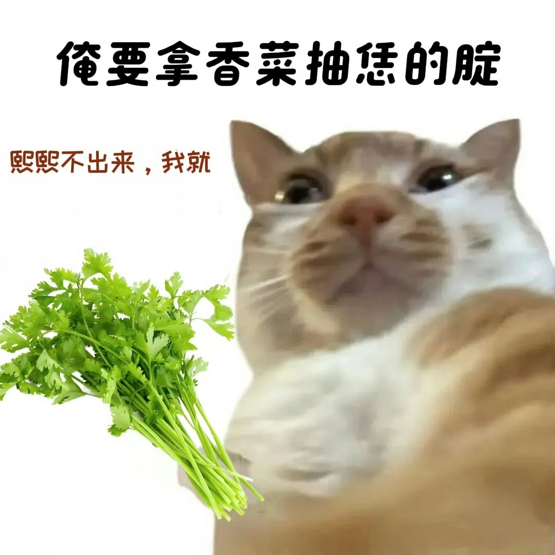罗云熙哪里去了，再不出现我要胡言（做）乱（非）语（为）了！！！ 
