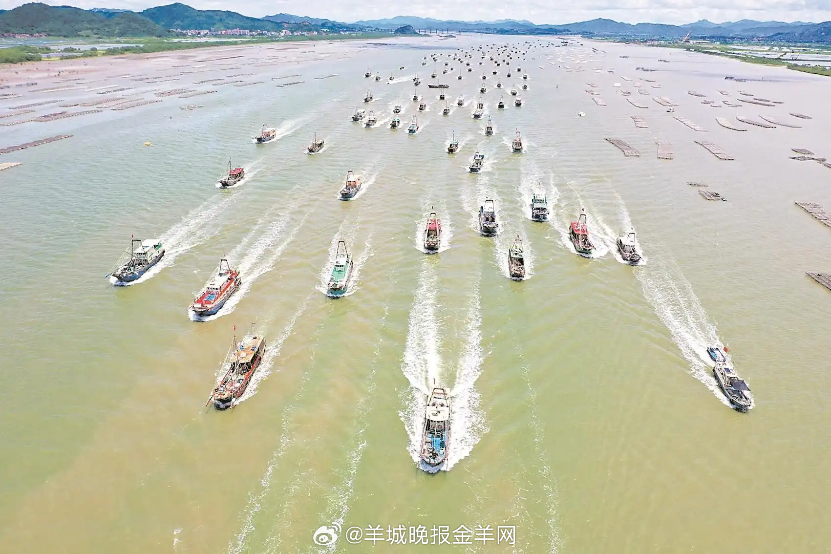 【#下周六千帆竞发向海逐“鲜”# #南海开渔季活动三大亮点提前看#】广东人的“海
