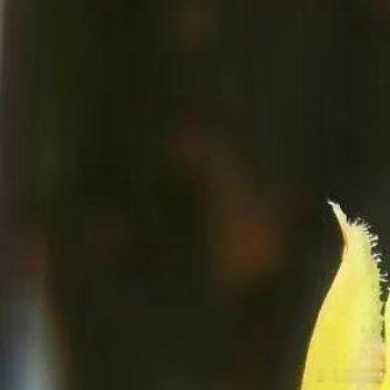 阳光信用[超话]每日一善[超话]即使生活没有那么容易，还是希望你在我的未来里。 
