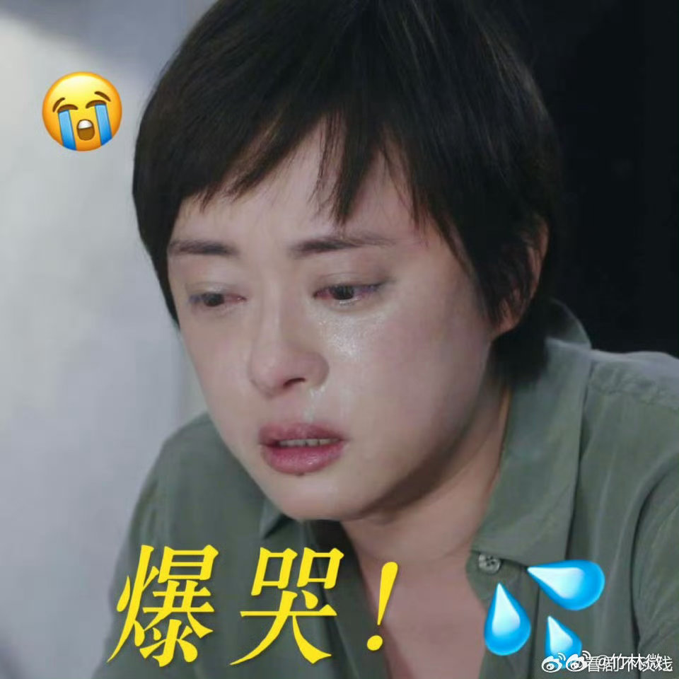 孙俪哭戏孙俪演的颜聆太让人心疼了，好心救下单亲学生，反倒被家长指责，这段哭戏共情