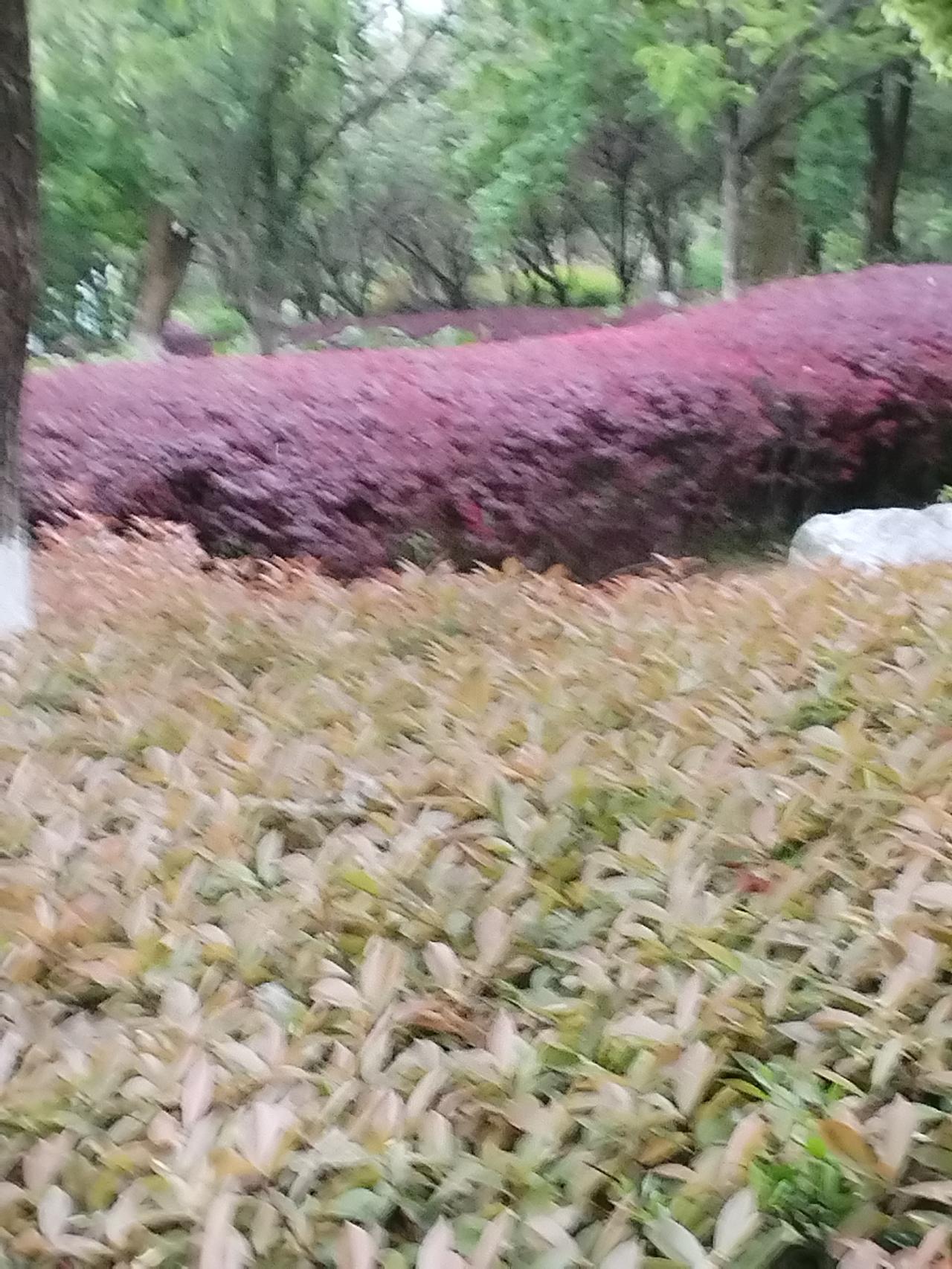 春天，是一年中最富有生机与希望的季节。随着气温渐暖，万物复苏，正是我们走出家门，