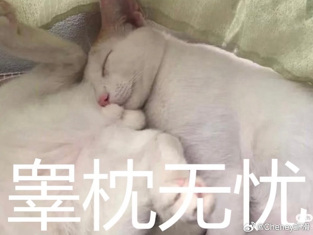 一回到家，图也不想p了，微信也不想回了，笔记也不想发了，每天就躺着吃东西看电视 