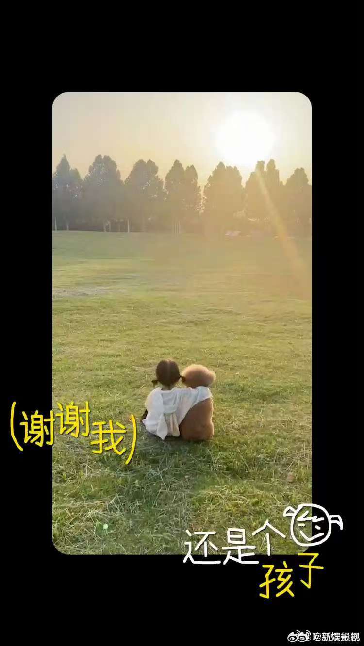  生活波澜起伏，2024 近尾声。回春丹《鲜花》激昂，歌词直白有力，旋律扣人心弦