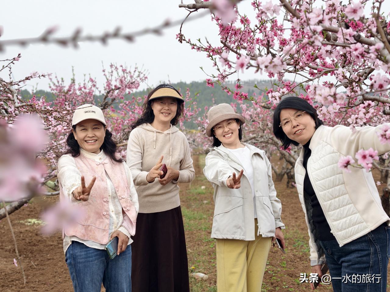 这次安丘天路自驾游，计划先到辉渠获鹿山前村寻找中草药，后在桃林中朗诵《诗经 采蘩
